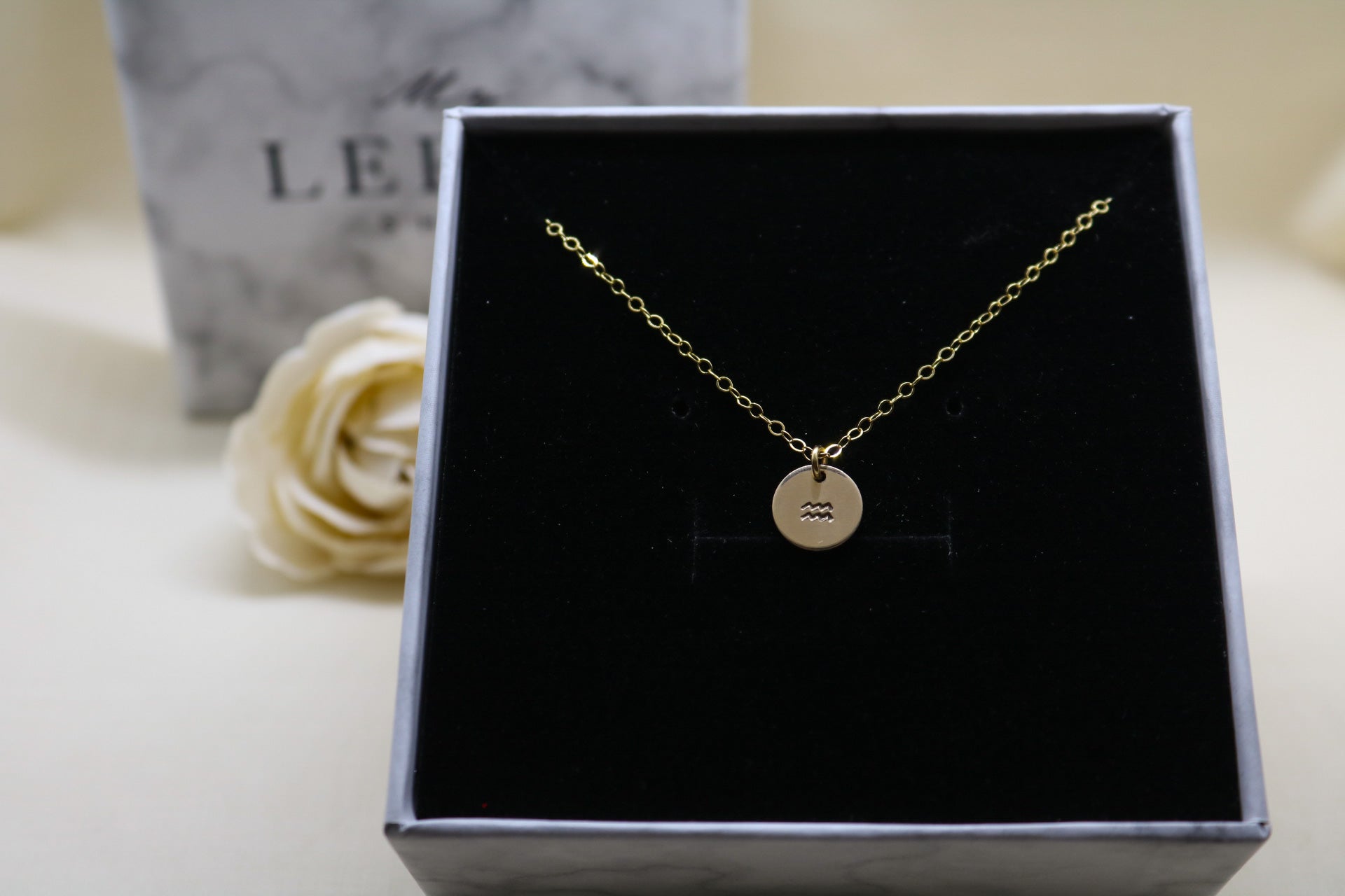 Horoscope Disc Necklace